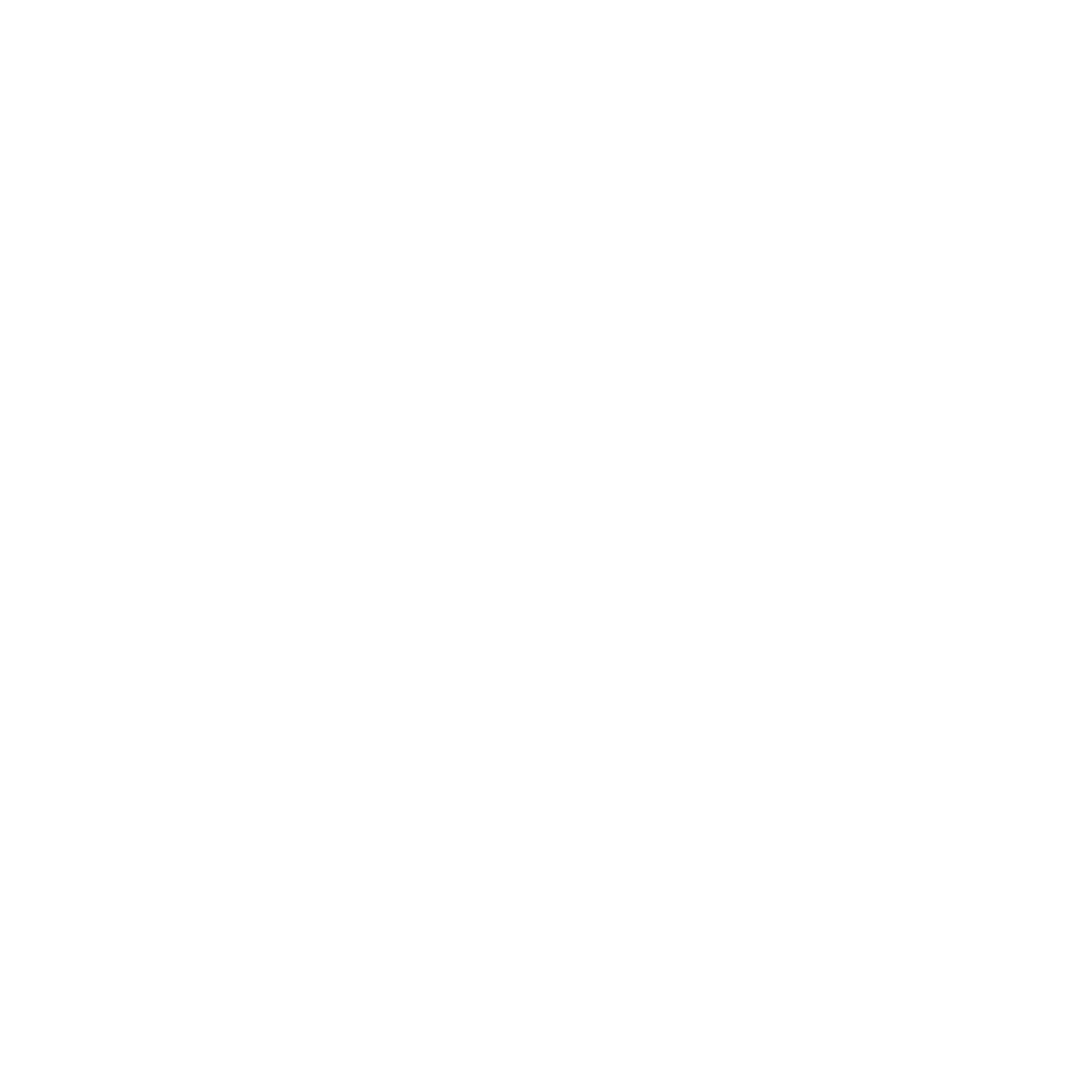 Logo White